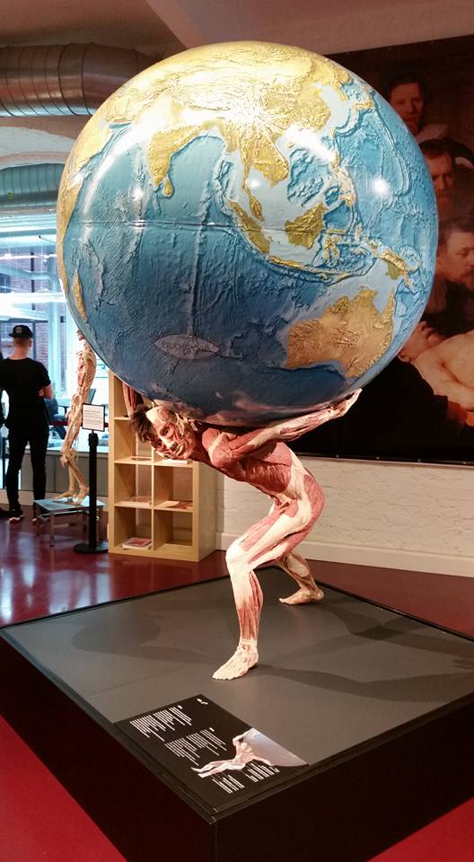 Wycieczka anatomiczna do Plastinarium w Guben