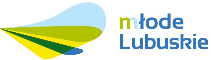 Sejmik Młodzieżowy o świętowaniu niepodległości