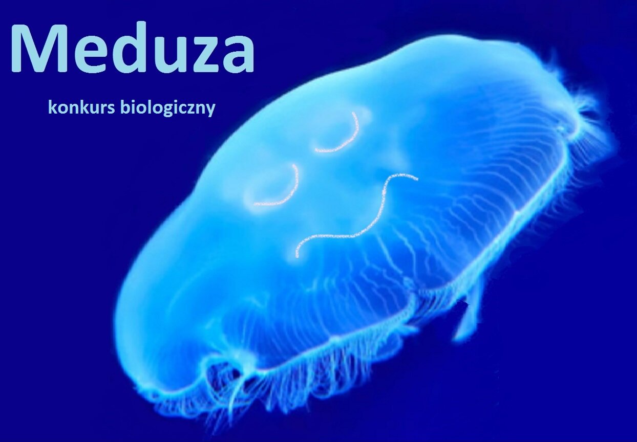 Konkursu biologiczny „Meduza”